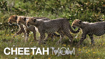 Cheetah Mom (2013)