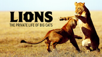 Lions – The Private Life of Big Cats (2016)