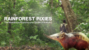 Rainforest Pixies: The Mysterious Rhynchocyon Shrew of Arabuko (2008)
