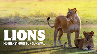 Lions – Mothers’ Fight for Survival (2016)